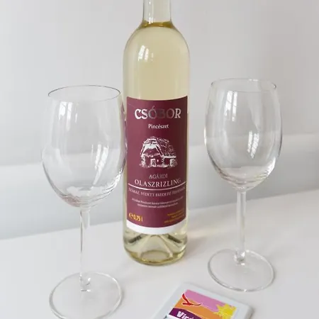 Дом отдыха Viraglak